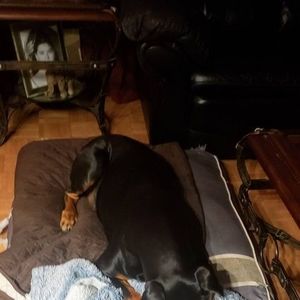 Meet your Posher, Abelardo